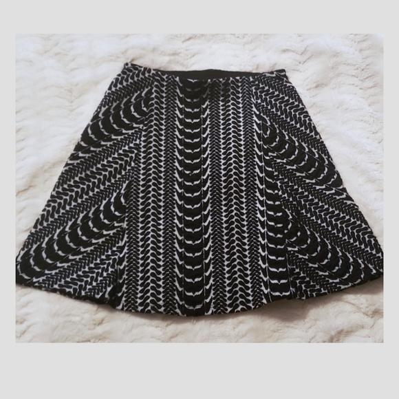 Zara Dresses & Skirts - Zara trafaluc Skater skirt